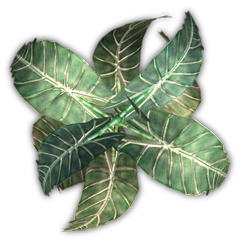 Index of /Mapping/Terrain/Plants/Cover/Elephant Ear